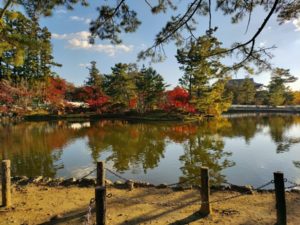東大寺の池